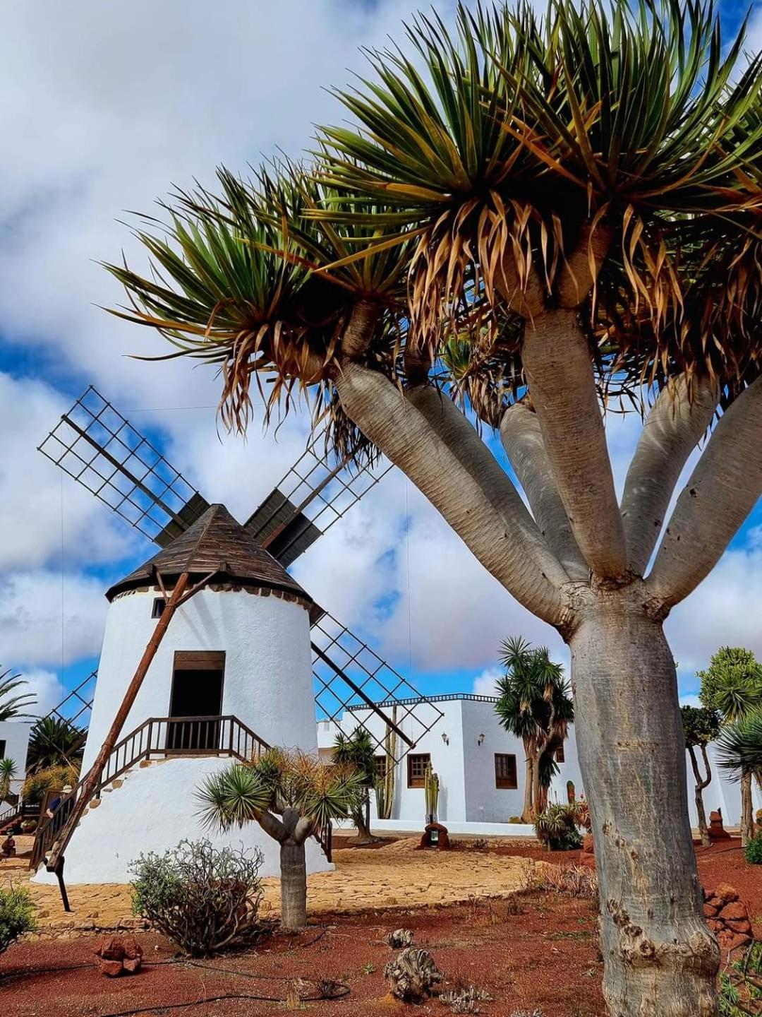 Casa Del Mar Air-Conditioned Apartment With Swimming Pools - Corralejo Playa Exterior foto